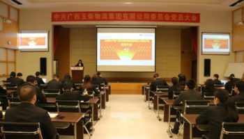 玉柴物流集團(tuán)黨委完成換屆選舉，夯實(shí)黨建基礎(chǔ)