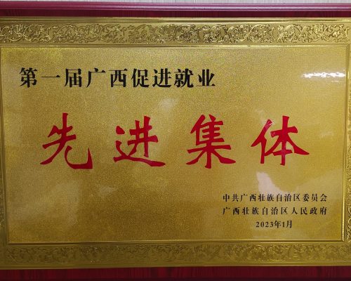 第一屆廣西促進就業(yè)先進集體